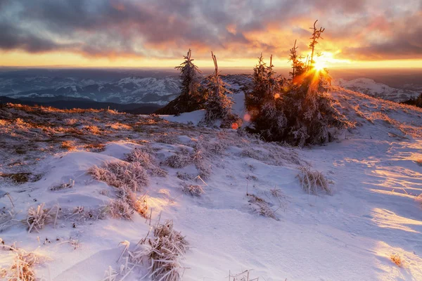 Ceahlau dağlarda kış manzara günbatımı — Stok fotoğraf
