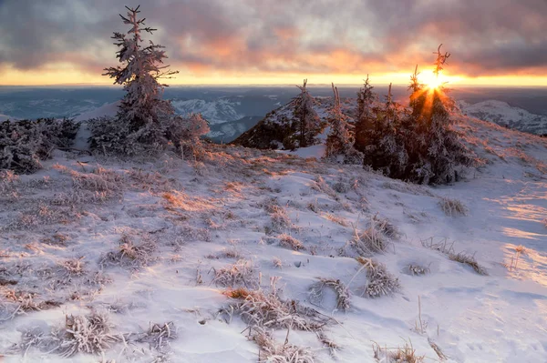Χειμωνιάτικο τοπίο ηλιοβασίλεμα στα βουνά Ceahlau — Φωτογραφία Αρχείου
