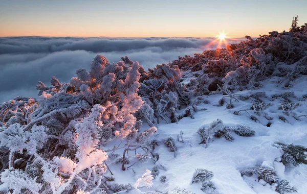 Paisaje invernal amanecer en las montañas Ceahlau — Foto de Stock