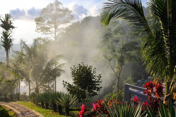 Paisaje tropical brumoso en Tailandia parque — Foto de Stock