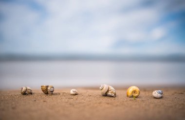 Nehirde yaşayan eski evleri