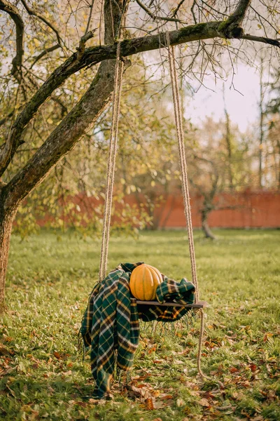 sonbahar Bahçe salıncak ile