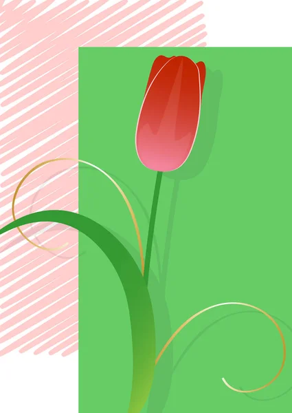 Tulipe rouge, carte postale — Image vectorielle