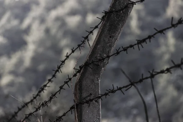 Barbed lines to protect the borders — Stock Photo, Image