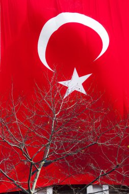 Bir ağaç üzerinde Türk bayrağı