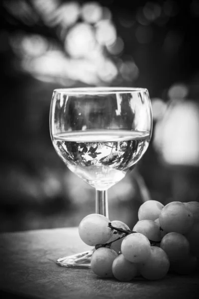 Bir bardak İtalyan beyaz şarap bir bahçede ahşap bir tepsi üzerinde duran, bazı beyaz üzüm yakın-siyah-beyaz görüntü — Stok fotoğraf
