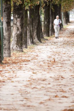 Yaşlı adam yalnız Treviso - İtalya yaz gün boyunca yürüyüş