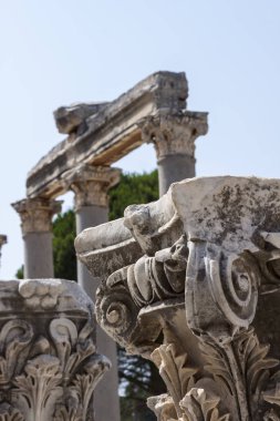 Antik Yunan ve daha sonra Roma şehir Efes, gerçek Türkiye'de sütunlarda