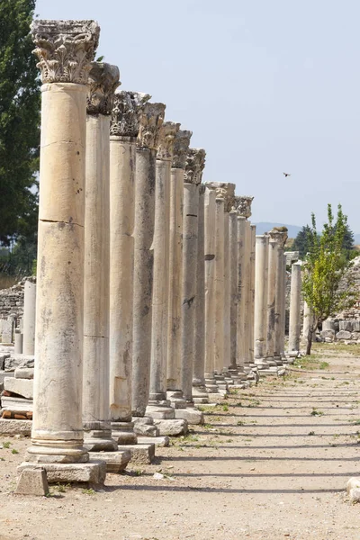 Colunas na antiga cidade grega e mais tarde romana de Éfeso na Turquia real — Fotografia de Stock