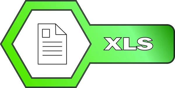 Ένα Εικονίδιο Για Αρχεία Xls Έχοντας Ένα Εξαγωνικό Σχήμα Vector — Διανυσματικό Αρχείο