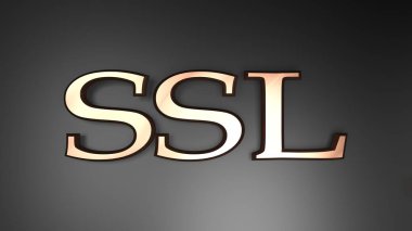Siyah parlak arkaplan üzerine bakır harflerle Güvenli Soket Katmanının Ssl kısaltması - 3d resimleme