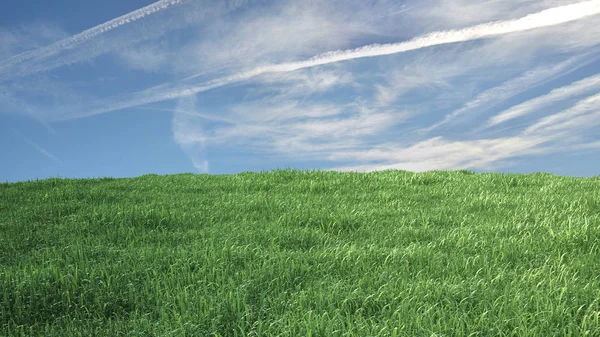 Prado con hierba y cielo azul en el fondo — Foto de Stock