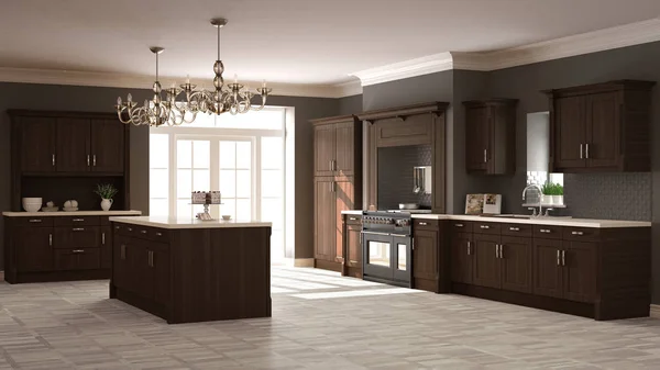 Cozinha clássica, elegante design de interiores com detalhes de madeira — Fotografia de Stock
