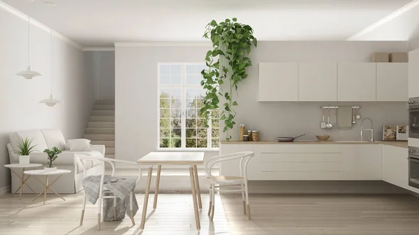 Scandinave blanc minimaliste vivant avec cuisine, espace ouvert, o — Photo