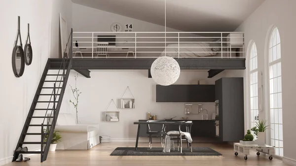 Scandinavian minimalist loft, one-room apartment with gray kitch