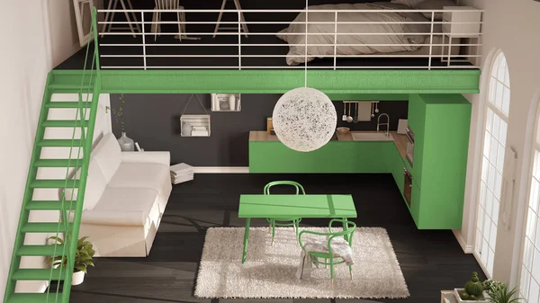 Scandinavian minimalist loft, one-room apartment with green kitc — Stock Photo, Image