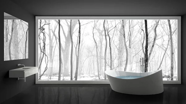 Μινιμαλιστικό λευκό και γκρι μπάνιο με μεγάλο πανοραμικό παράθυρο, wi — Φωτογραφία Αρχείου
