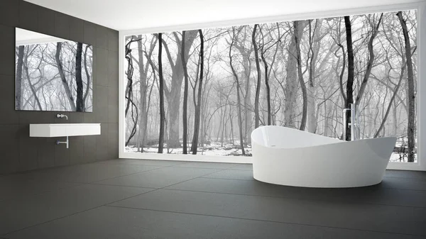 Minimalistische witte en grijze badkamer met groot panoramisch raam, wi — Stockfoto