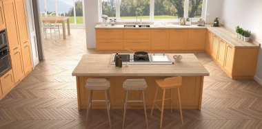 Büyük pencereler, panorama klasik modern İskandinavya mutfak wh