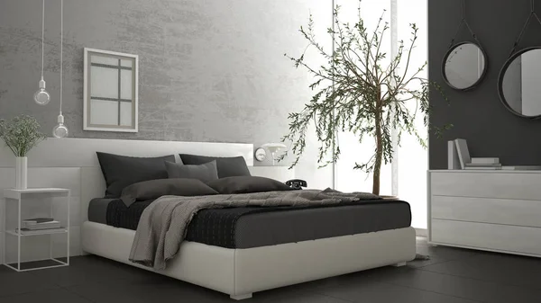 Pencere, göğüs çekmece ve büyük zeytin ağacı ile modern yatak odası, 