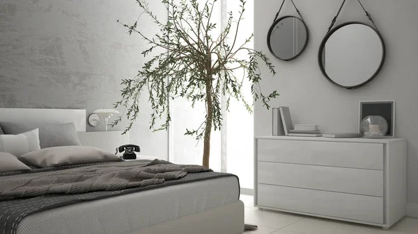 Pencere, göğüs çekmece ve büyük zeytin ağacı ile modern yatak odası, 
