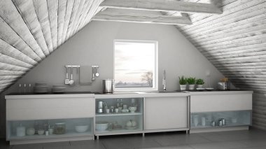 İskandinav endüstriyel mutfak, çatı asma kat, çatı architectu