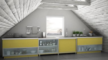 İskandinav endüstriyel mutfak, çatı asma kat, çatı architectu