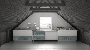 Scandinavia endüstriyel mutfak, çatı asma kat, çatı architectur