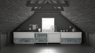 Scandinavia endüstriyel mutfak, çatı asma kat, çatı architectur