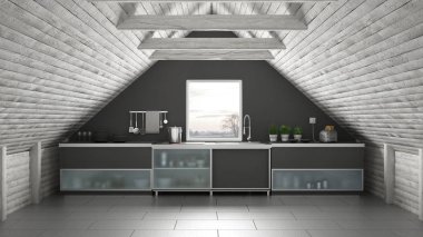 Scandinavia endüstriyel mutfak, çatı asma kat, çatı architectur