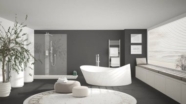 Büyük yuvarlak halı, geniş panoramik w ile modern klasik banyo