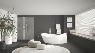 Büyük yuvarlak halı, geniş panoramik w ile modern klasik banyo