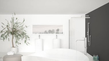 Modern klasik banyo yakın çekim üzerinde büyük banyo küveti, duş büyük bir