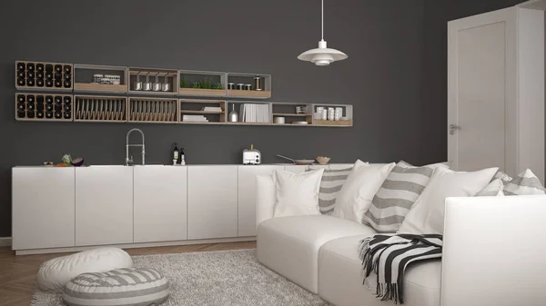 Skandynawskie nowoczesny salon z kuchnia, sofą i dywan z poduszkami, minimalistyczne białe i szare architektura wnętrz — Zdjęcie stockowe