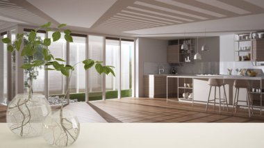 Hidroponik bitki ile cam vazo ile beyaz masa üst veya raf, süs, su bitki kökü, vazo dala, ev bitkisi, arka planda modern bulanık mutfak, iç tasarım