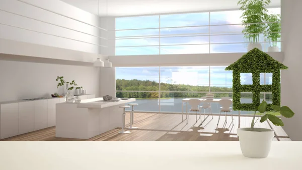 Λευκό τραπέζι επάνω ή ράφι με πράσινο φυτό σε σχήμα ποτ όπως το σπίτι, μοντέρνα θολή κουζίνα στο παρασκήνιο, εσωτερική διακόσμηση, ακίνητα, οικολογική αρχιτεκτονική αντίληψη ιδέα — Φωτογραφία Αρχείου