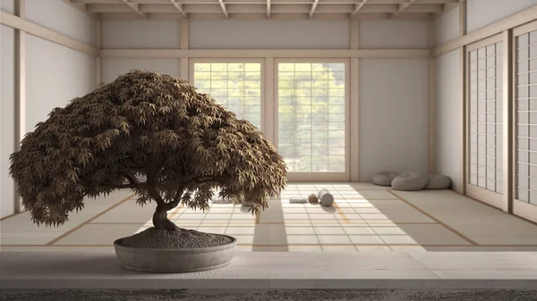 Klasyczna drewniana półka stołowa z doniczkowym kwiatem bonsai, beżowe liście, kwiaty, nad studiem jogi, maty i akcesoria, tatami, panorama ogrodu zen, gotowa do ćwiczeń jogi, medytacja — Zdjęcie stockowe