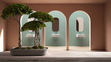 Klasik metafizik iç tasarımı, klasik minimalist banyo, kemer yolları, zen temiz mimari konsepti üzerine saksısı yeşil bonsai, seramik vazo içeren klasik ahşap masa rafı.