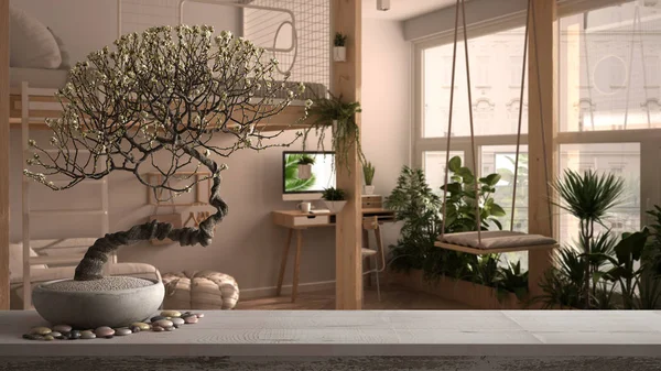 Vintage wooden table shelf with pebble and potted bloom bonsai, white flowers, over modern studio apartment with loft bunk bed, mezzanine, swing, zen clean architecture concept idea — Stock Photo, Image