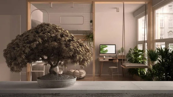 Vintage träbord hylla med krukväxter bonsai, beige blad, blommor, över modern studio lägenhet med loft våningssäng, mezzanine, swing, zen ren arkitektur koncept idé — Stockfoto