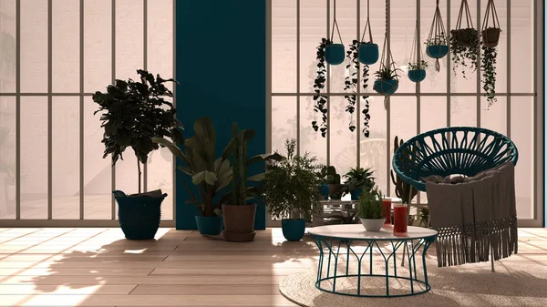 Современная оранжерея, зимний сад, белый и синий дизайн интерьера, гостиная с креслом из ротанга и столом. Промышленный романтический номер, паркет. Место для отдыха, полное растений в горшках — стоковое фото