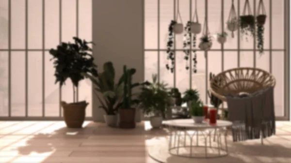ぼかしの背景インテリアデザイン:モダンなコンサバトリー、冬の庭、白のインテリアデザイン、籐製のアームチェアとテーブル付きのラウンジ、寄木細工の床。鉢植えの完全なリラックススペース — ストック写真