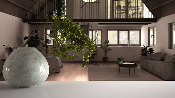 Белый матовый стол с круглыми мраморными вазами и горшечными бонсаями, зелеными листьями, над загородной однокомнатной квартирой, кроватью, кухней, современным дизайном интерьера, идеей чистой архитектуры — стоковое фото