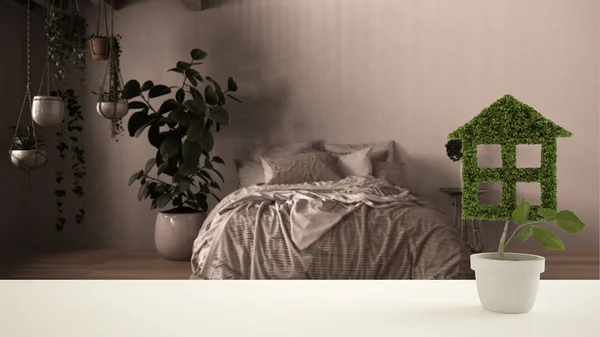 Біла стільниця або полиця з зеленою рослиною у формі горщика, як будинок, розмита спальня на задньому плані, дизайн інтер'єру, нерухомість, концепція екологічної архітектури — стокове фото