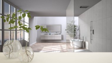 Beyaz masa üstü ya da rafta cam vazo ile hidrofonik bitki, süs, bitki kökü, vazo, ev bitkisi, banyo ve arka planda küvet, iç tasarım.