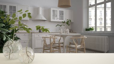 Suda bitki kökü, vazoda dal, ev bitkisi, mutfak ve yemek odası arka planı, iç tasarım, su bitkisi, süs, cam vazo ile beyaz masa veya raf