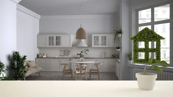 Λευκή επιφάνεια τραπεζιού ή ράφι με πράσινο φυτό σε γλάστρα σε σχήμα σπιτιού, ρετρό κουζίνα με φόντο τραπέζι και καρέκλες, εσωτερική διακόσμηση, ακίνητα, οικολογική αρχιτεκτονική ιδέα — Φωτογραφία Αρχείου