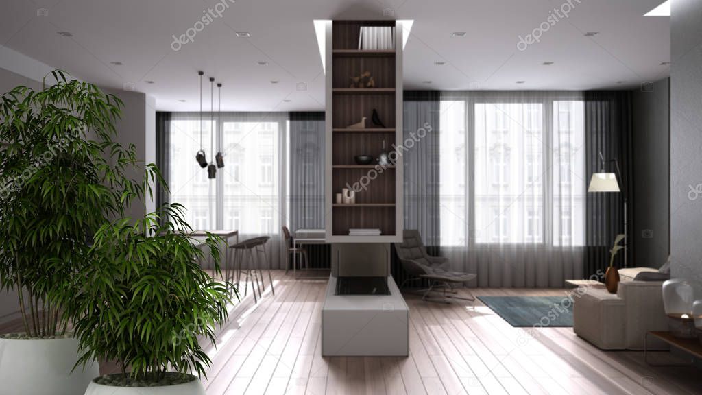 Zen interior with potted bamboo plant, natural interior design concept, modern luxury white and wooden kitchen, living room with panoramic windows, minimalist architecture concept