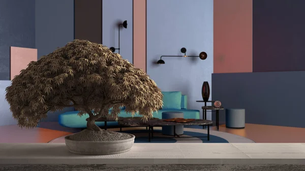 Vintage träbord hylla med krukväxter bonsai, beige blad, blommor, över färgglada vardagsrum, lounge, turkos soffa, soffbord, zen ren arkitektur koncept idé — Stockfoto
