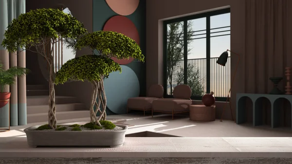 Vintage träbord hylla med sten och krukväxter bonsai, gröna blommor, över pastell färger och abstrakt objekt för platt vardagsrum, zen ren arkitektur koncept idé — Stockfoto